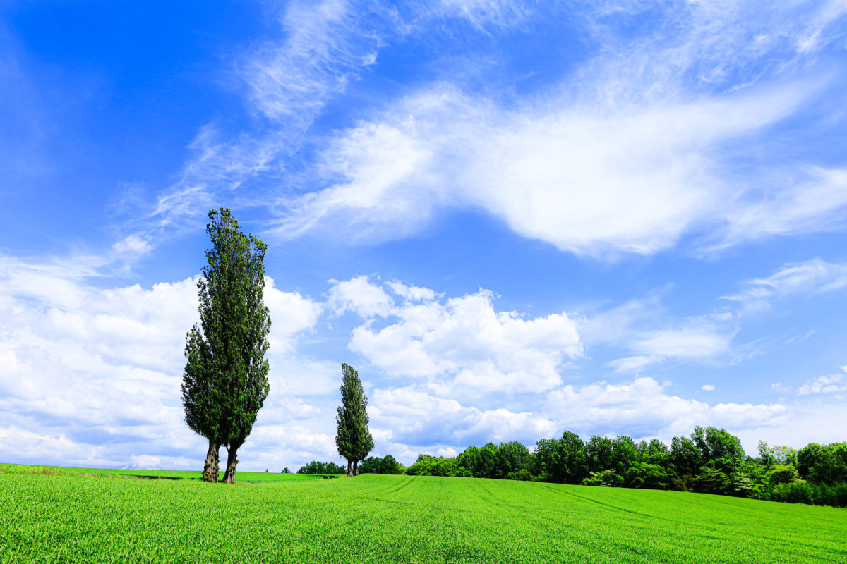 セキュリティーシステム・機器の開発