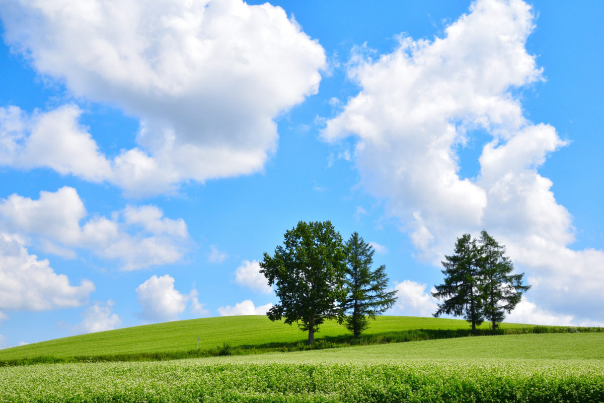 セキュリティーシステム・機器の開発